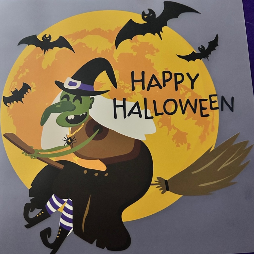 HALLOWEEN graphic tee Made to order witch on broom tee. 2T-3X Pick your color